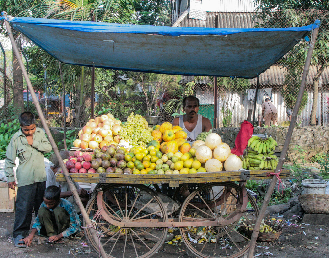 Obstverkauf in Mumbai