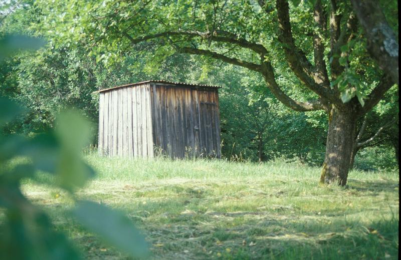 Obstwiese mit Hütte