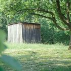 Obstwiese mit Hütte