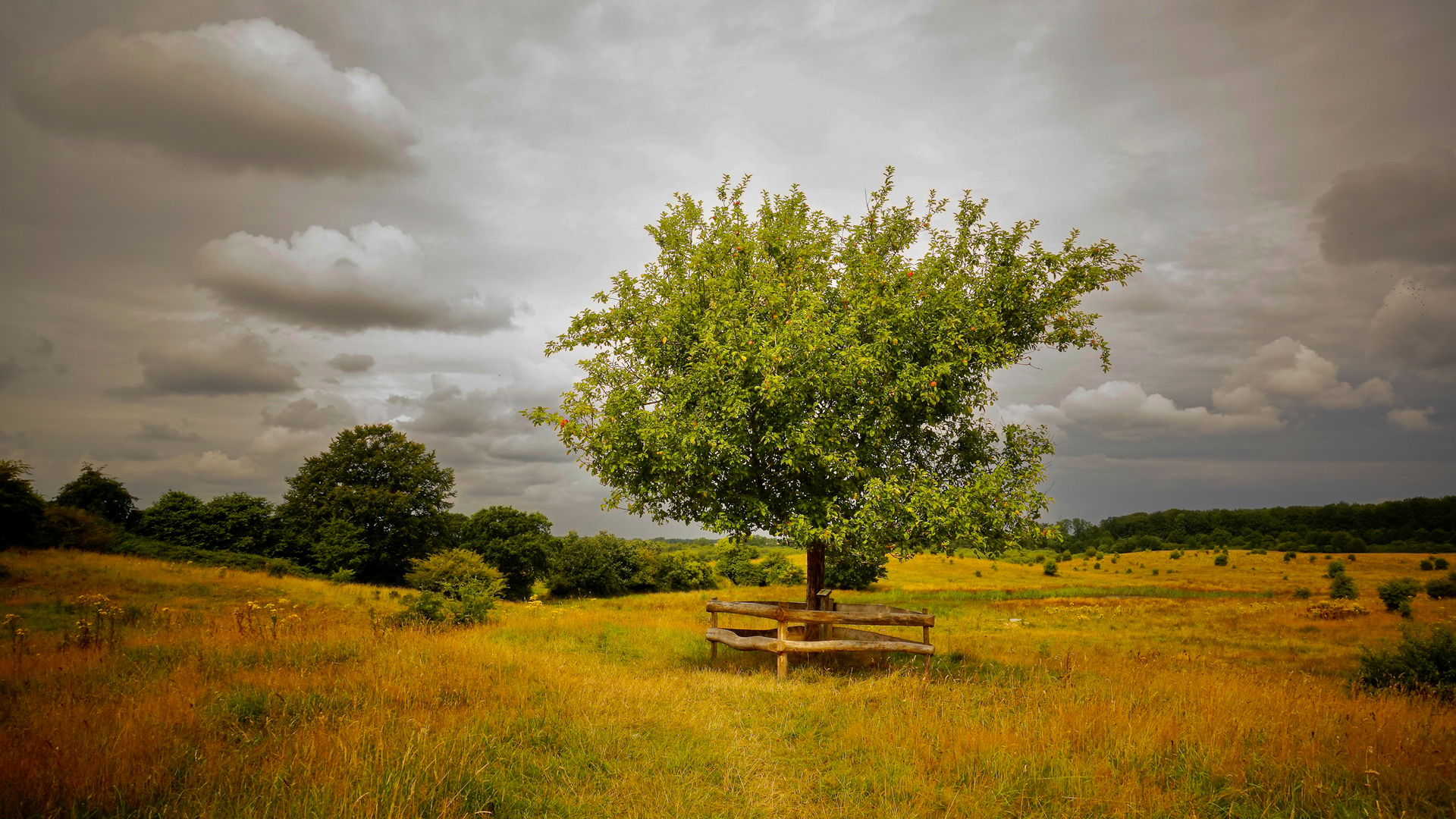 Obstwiese Winderatter See