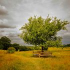 Obstwiese Winderatter See