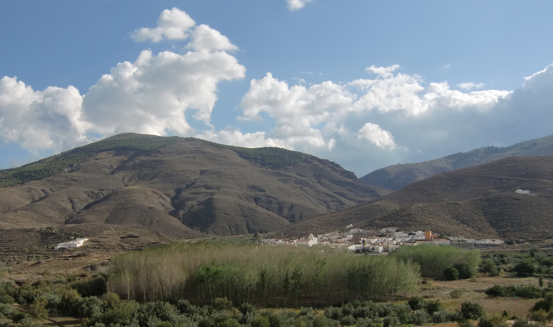 OCAÑA (ALMERÍA)2