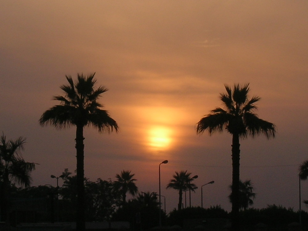 ocaso en el cairo