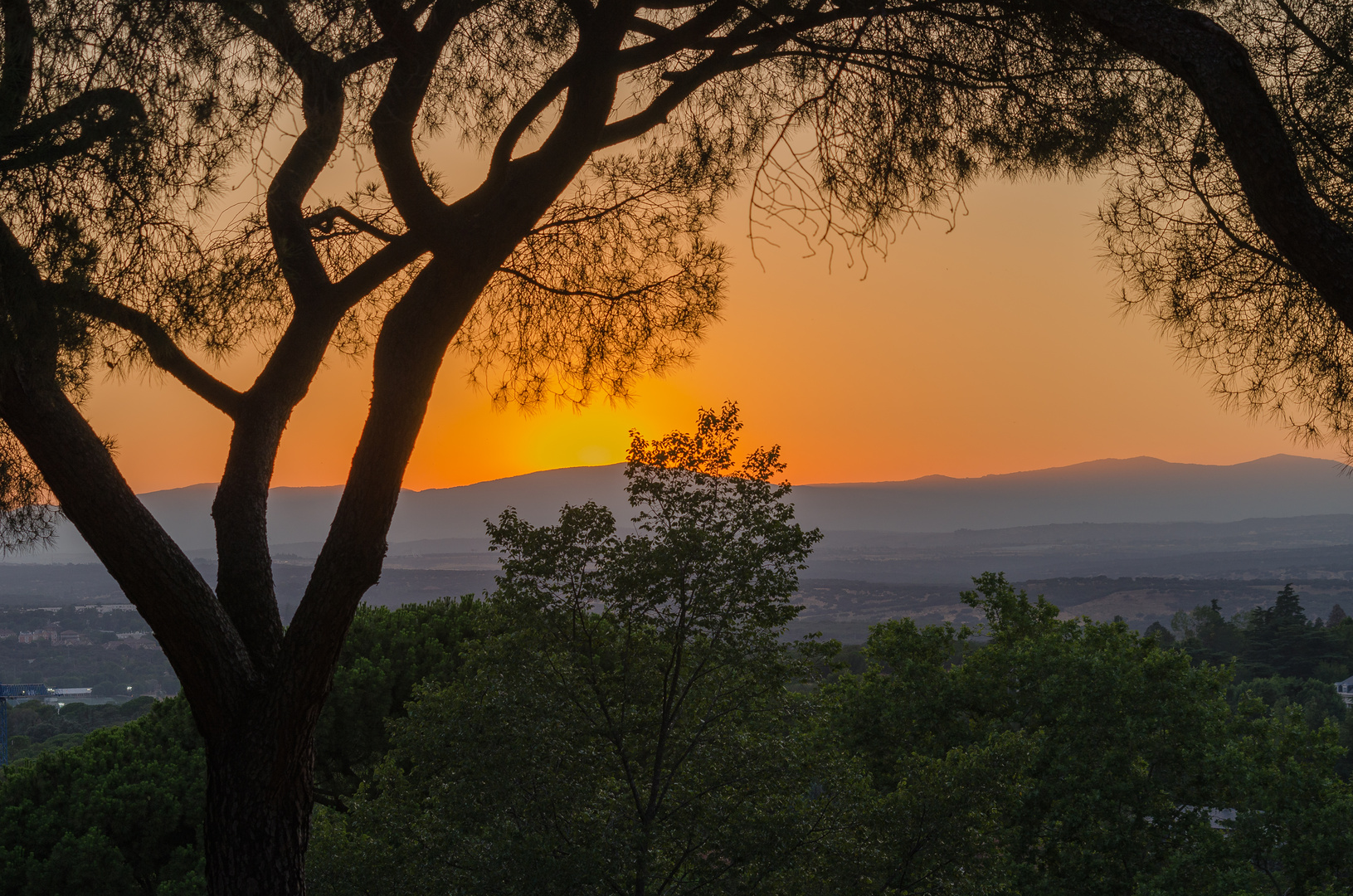 Ocaso en la Dehesa