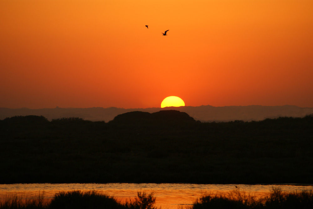 Ocaso en la marisma