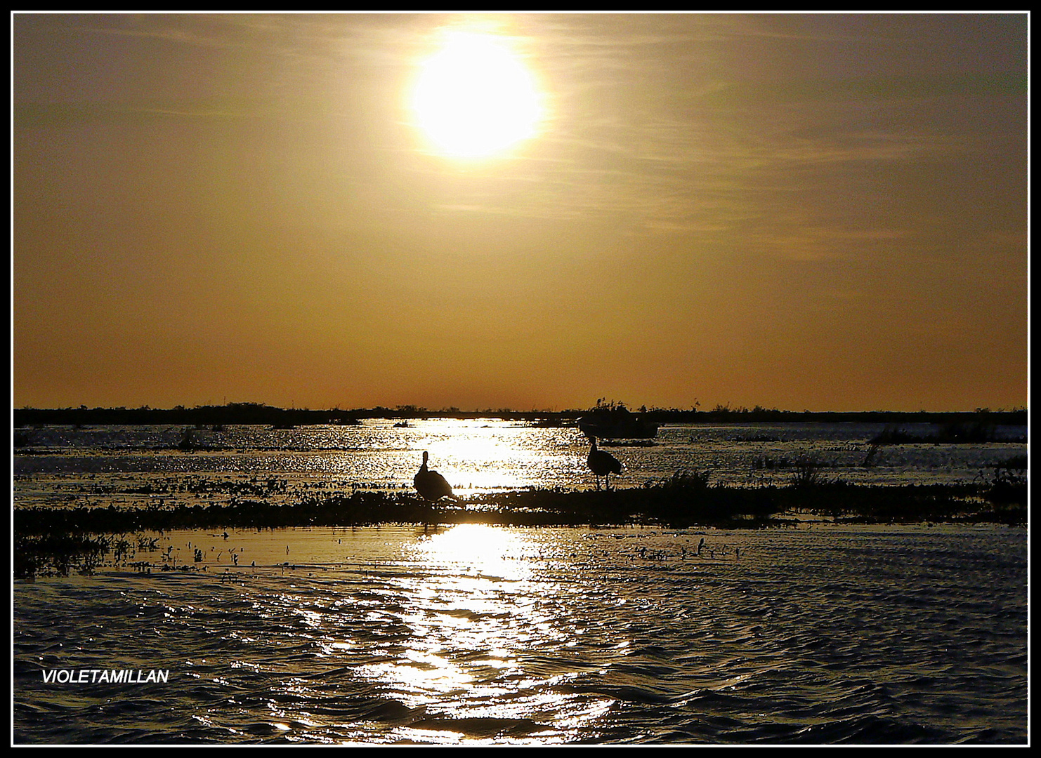 ocaso en los ESTEROS DE IBERA