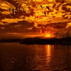 Ocaso muelle deportivo,Gijón Asturias