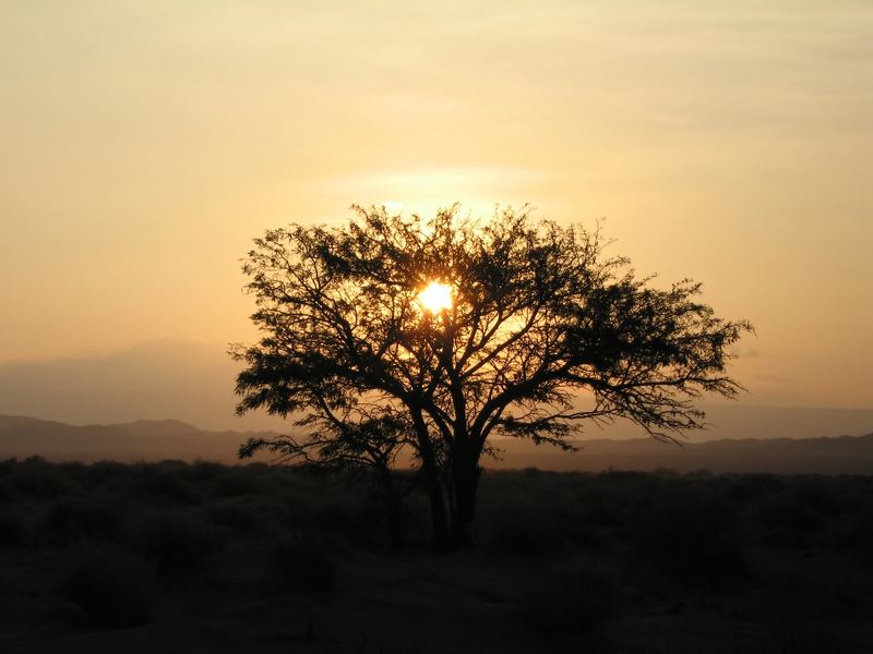 Ocaso Salar