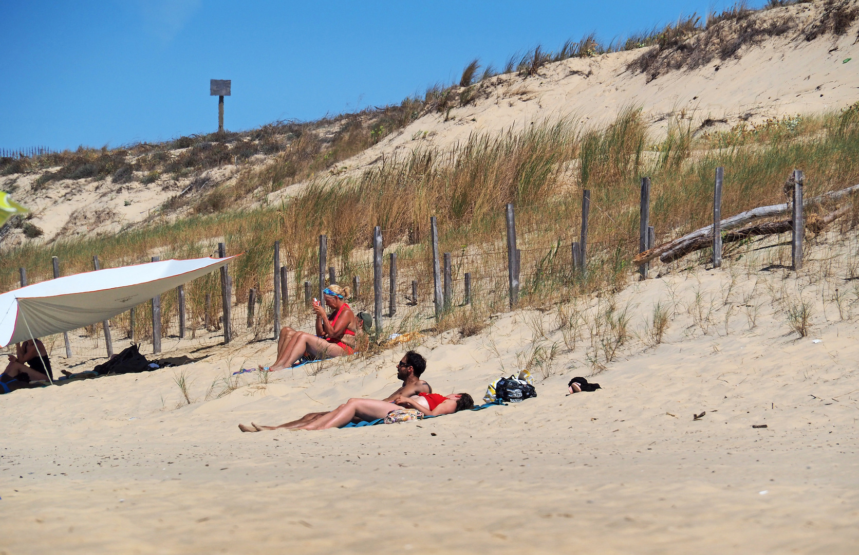 Occupation principale à la plage:….bronzer