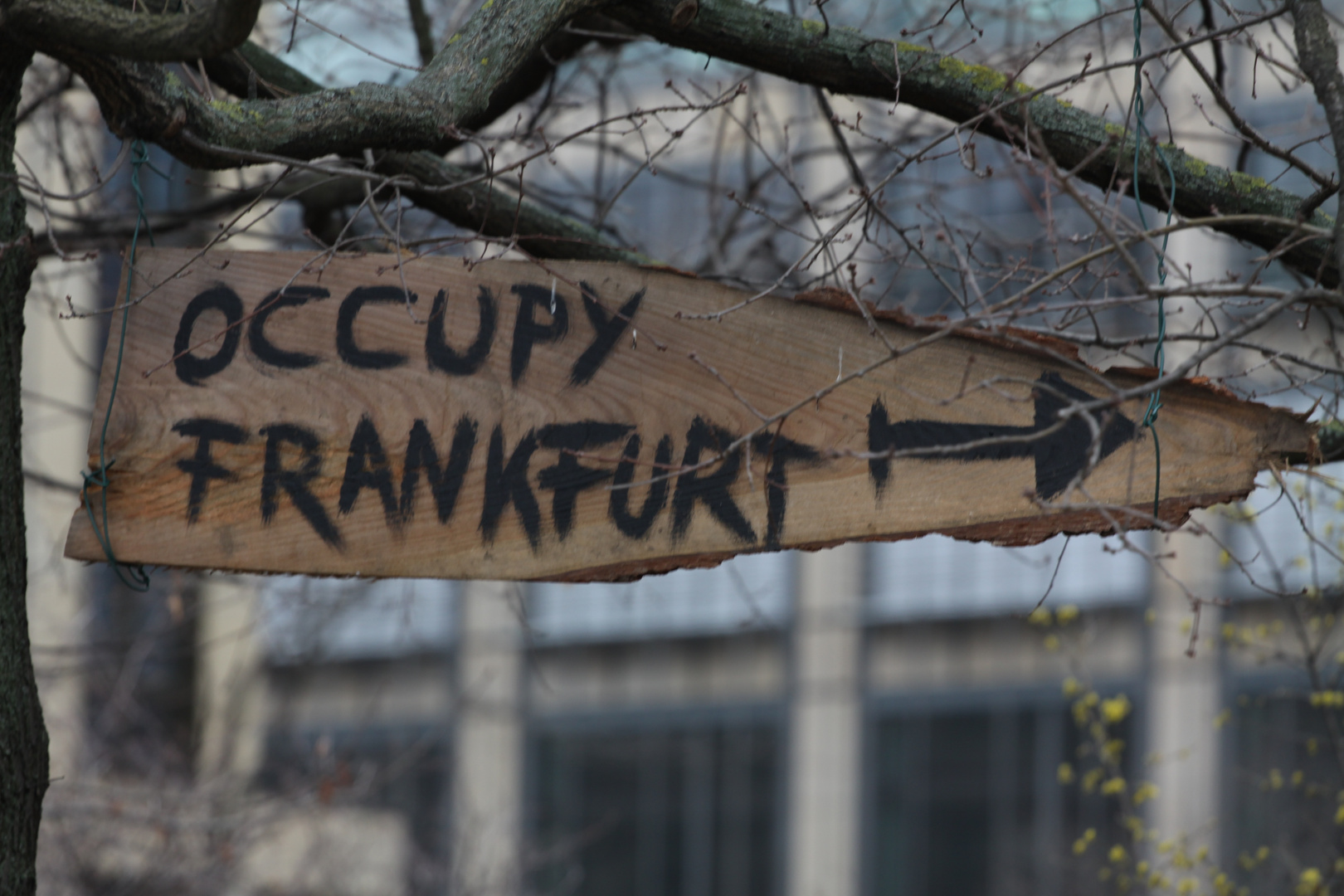 Occupy in Bankfurt