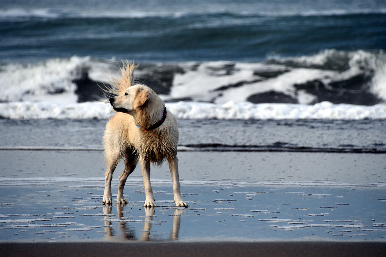 Ocean Beach, San Francisco