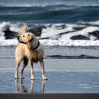 Ocean Beach, San Francisco