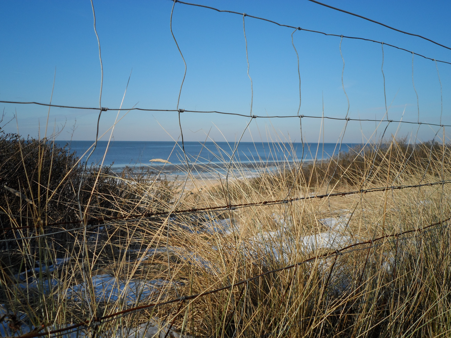 ocean behind the Fence