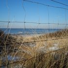 ocean behind the Fence