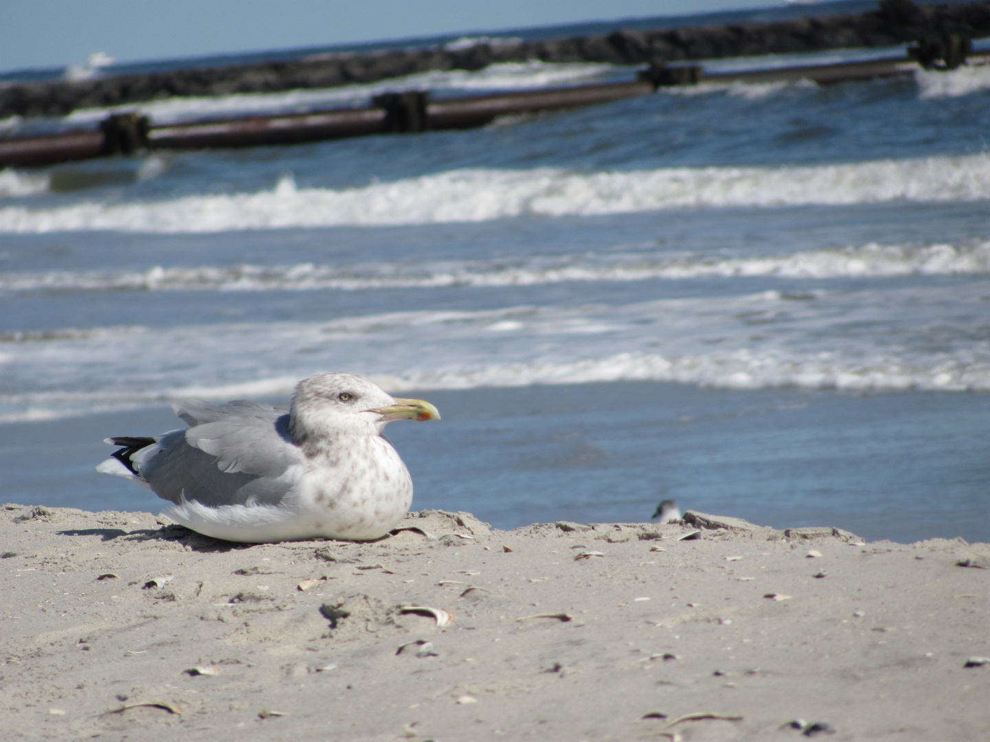 ocean City, New Jersey