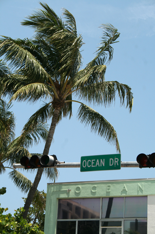 [ ocean drive ]