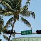 [ ocean drive ]