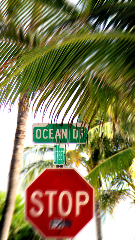 Ocean Drive