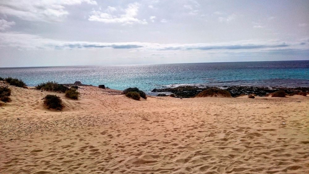 Ocean Fuerteventura