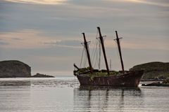 Ocean Harbour - Südgeorgien