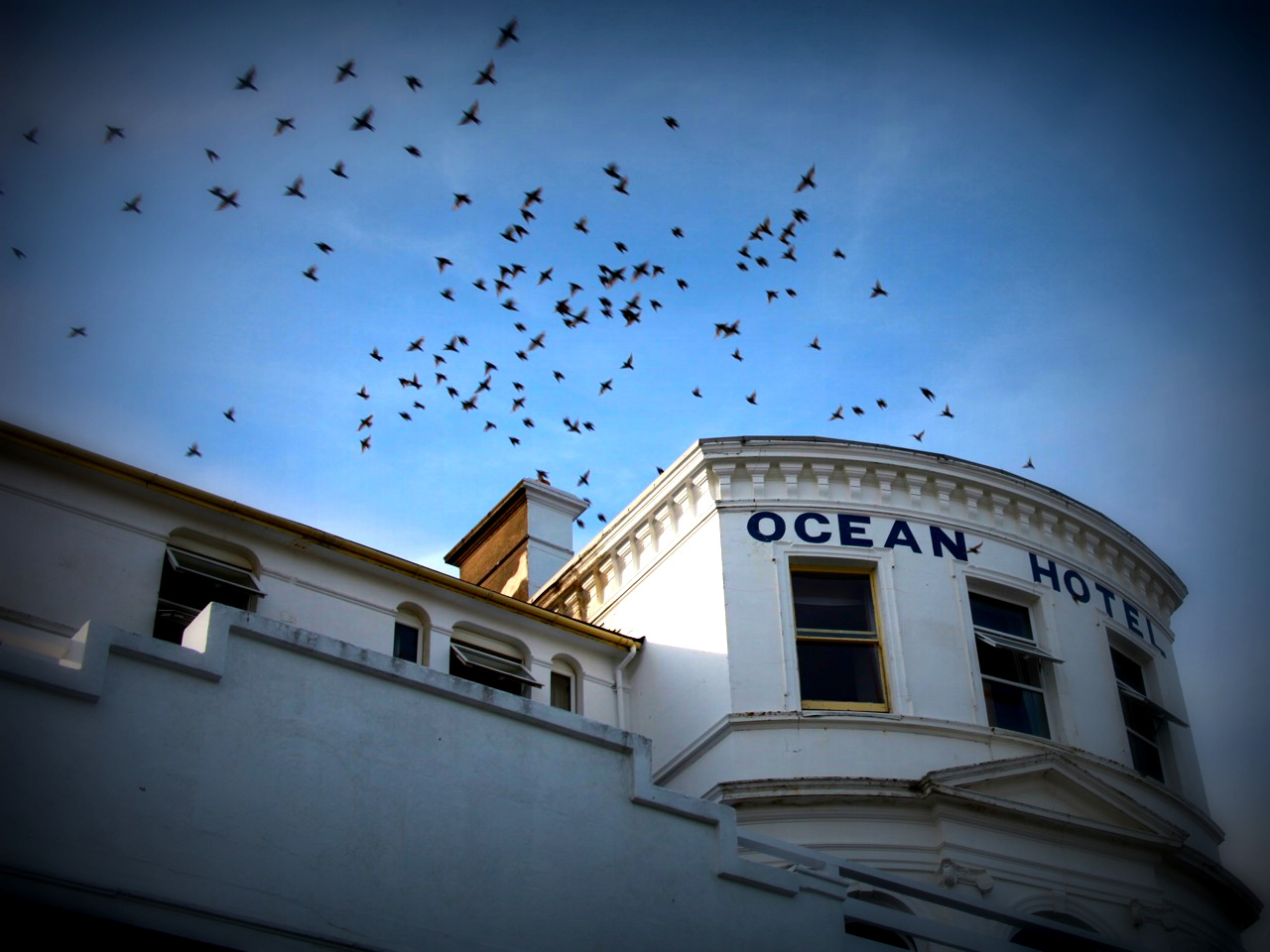 Ocean Hotel