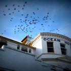 Ocean Hotel