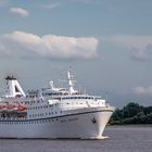 Ocean Majesty in Wedel