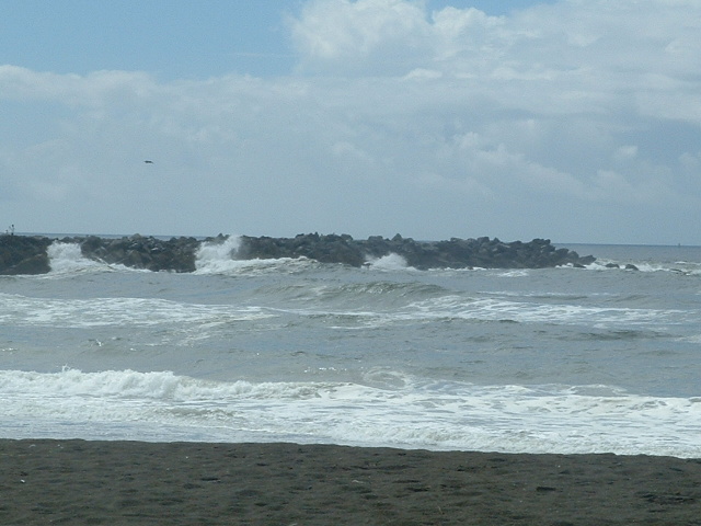 Ocean Shores, WA