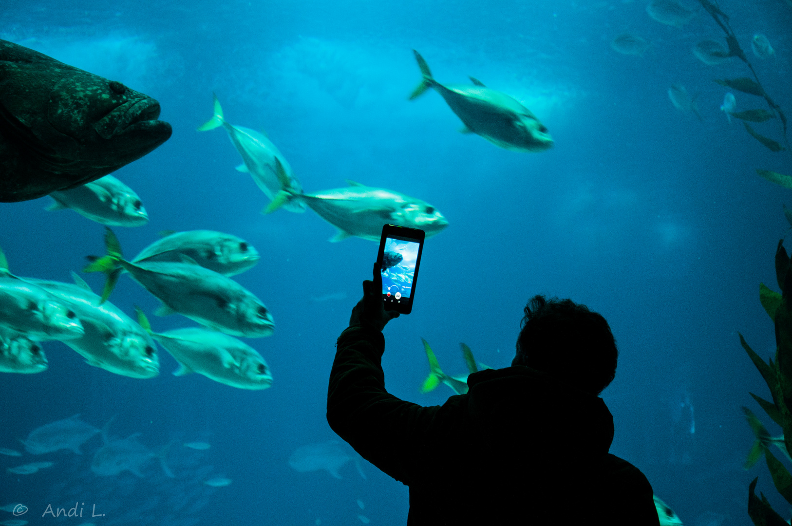 Oceanário de Lisboa