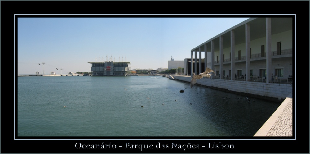 Oceanario of Lisbon - Man Meets Nature