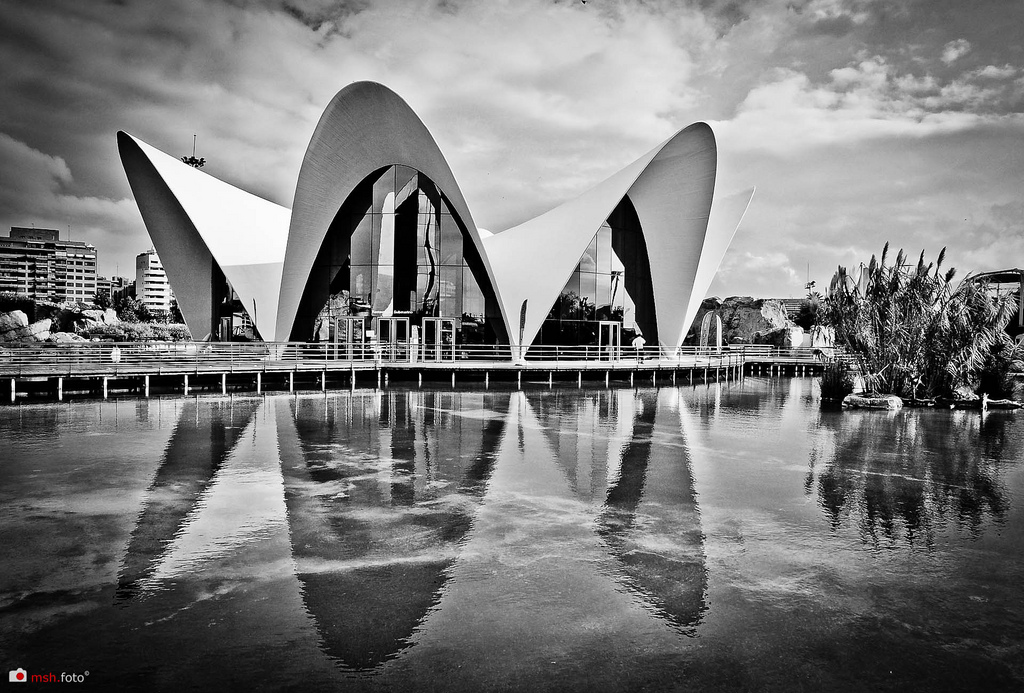 Oceanarium // Valencia Spain