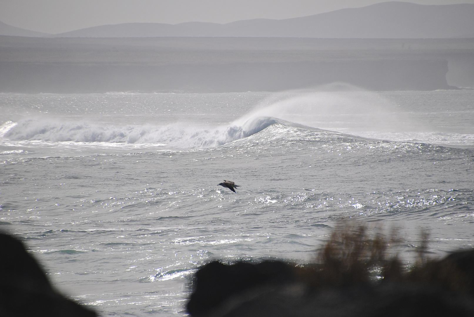 Oceano