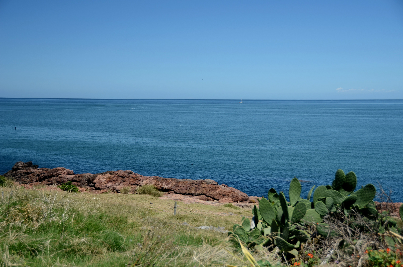 Oceano Atlantico