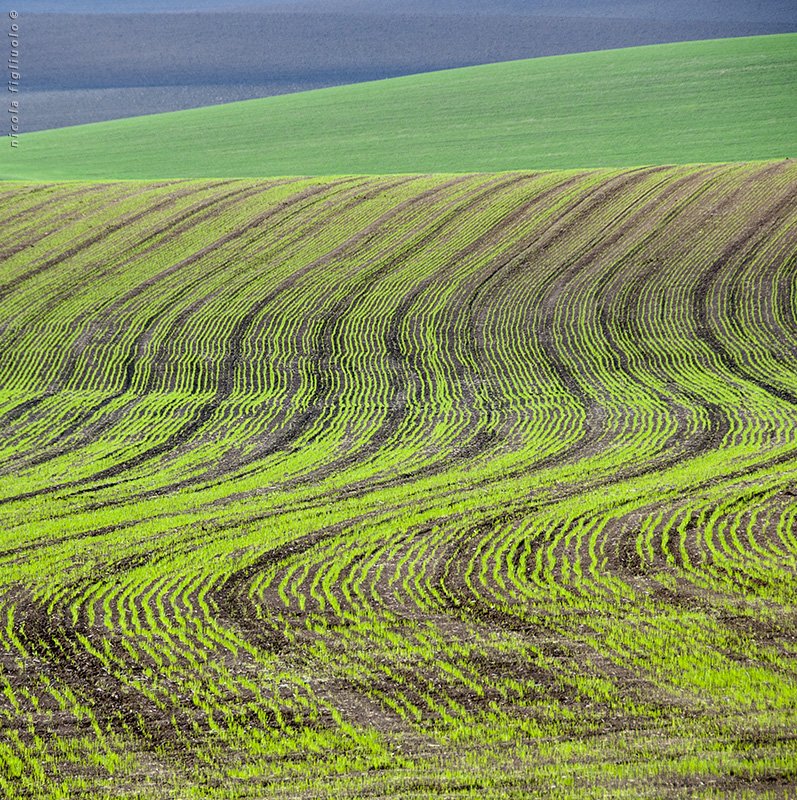 Oceano Terra*** (di Basilicata)