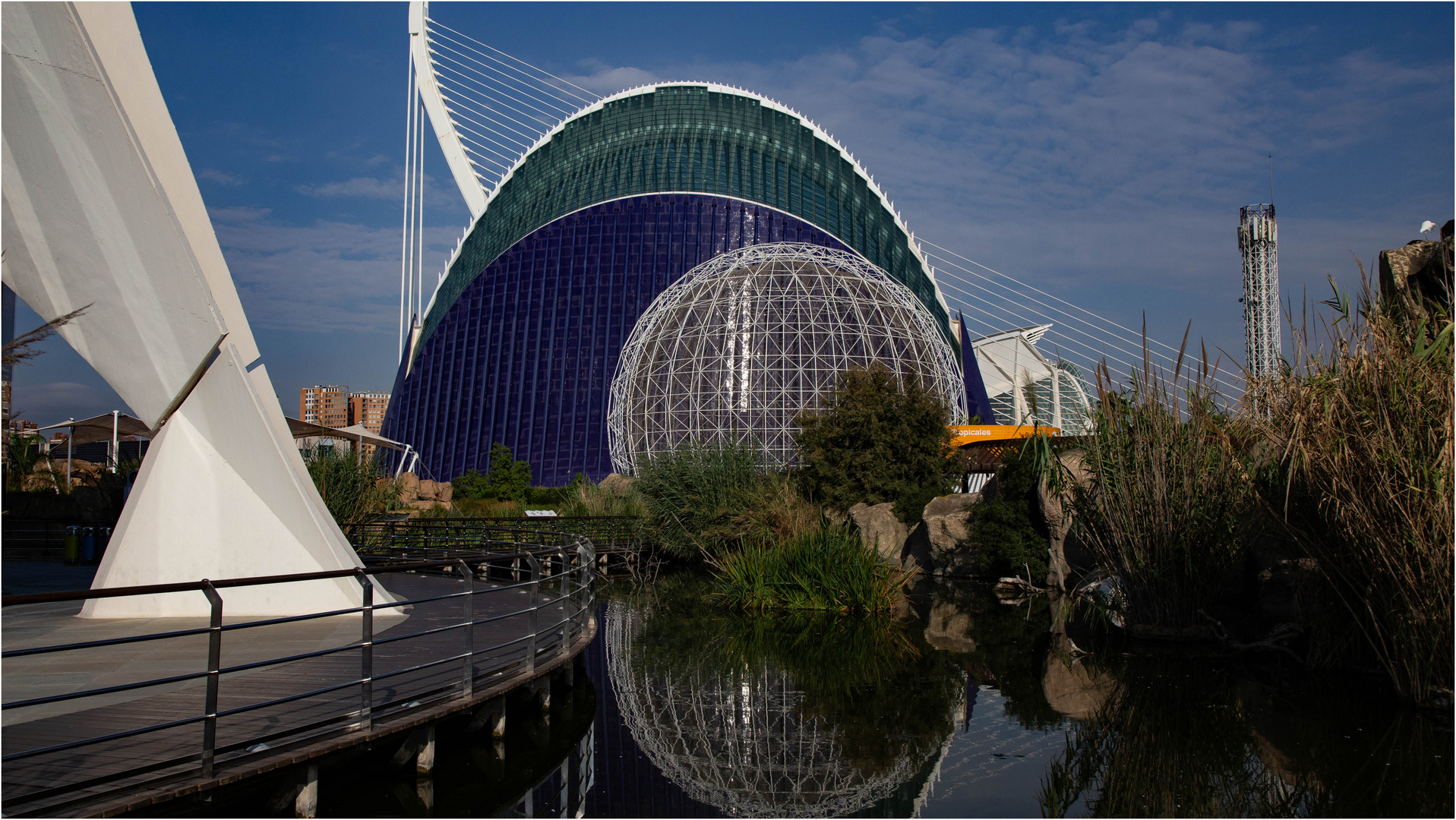 Oceanogràfic Foto & Bild city, spain, world Bilder auf