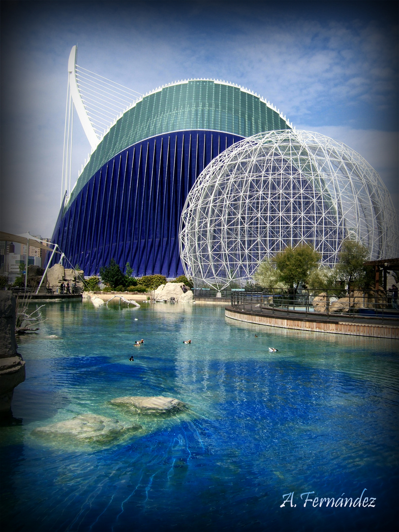 Oceanografic de Valencia.