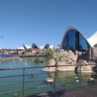 Oceanogràfic, Hemisfèric, Palau de les Arts, Valencia