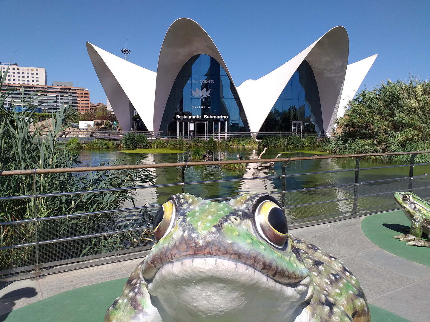 Oceanogràfic, Hemisfèric, Palau de les Arts, Valencia