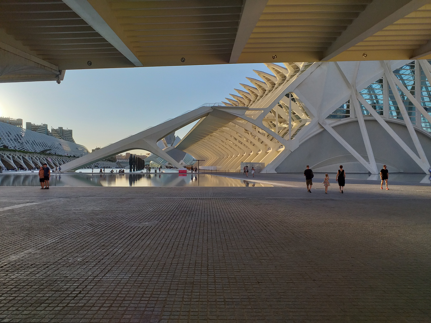 Oceanogràfic, Hemisfèric, Palau de les Arts, Valencia