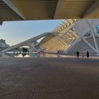 Oceanogràfic, Hemisfèric, Palau de les Arts, Valencia