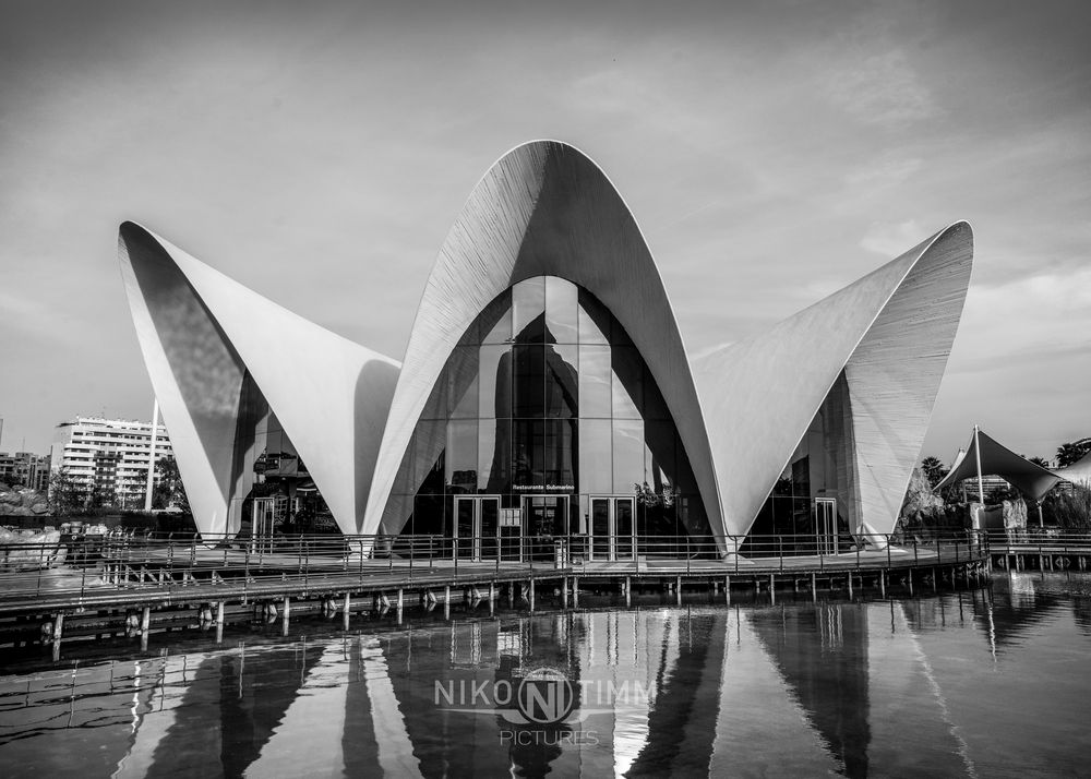 Oceanografic in Valencia