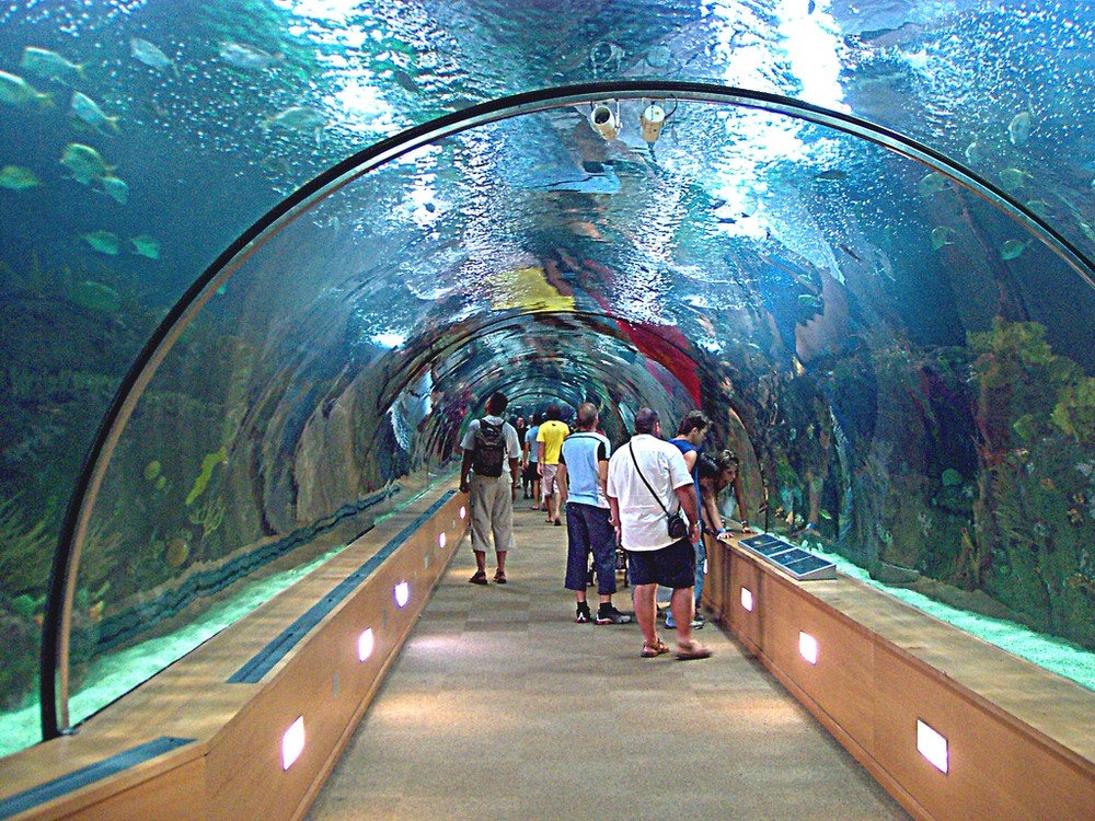 Oceanográfico de Valencia