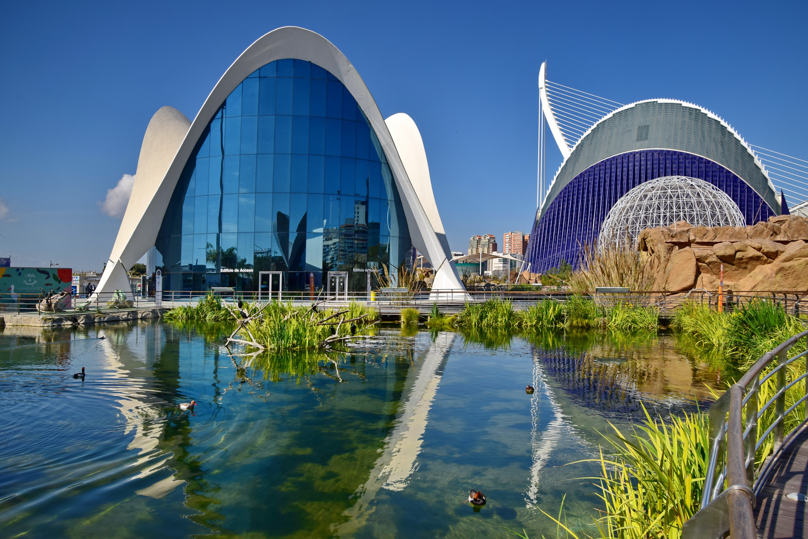 Oceanográfico in Valencia