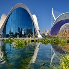 Oceanográfico in Valencia