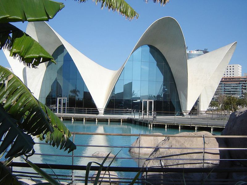 Oceanografico in Valencia 2