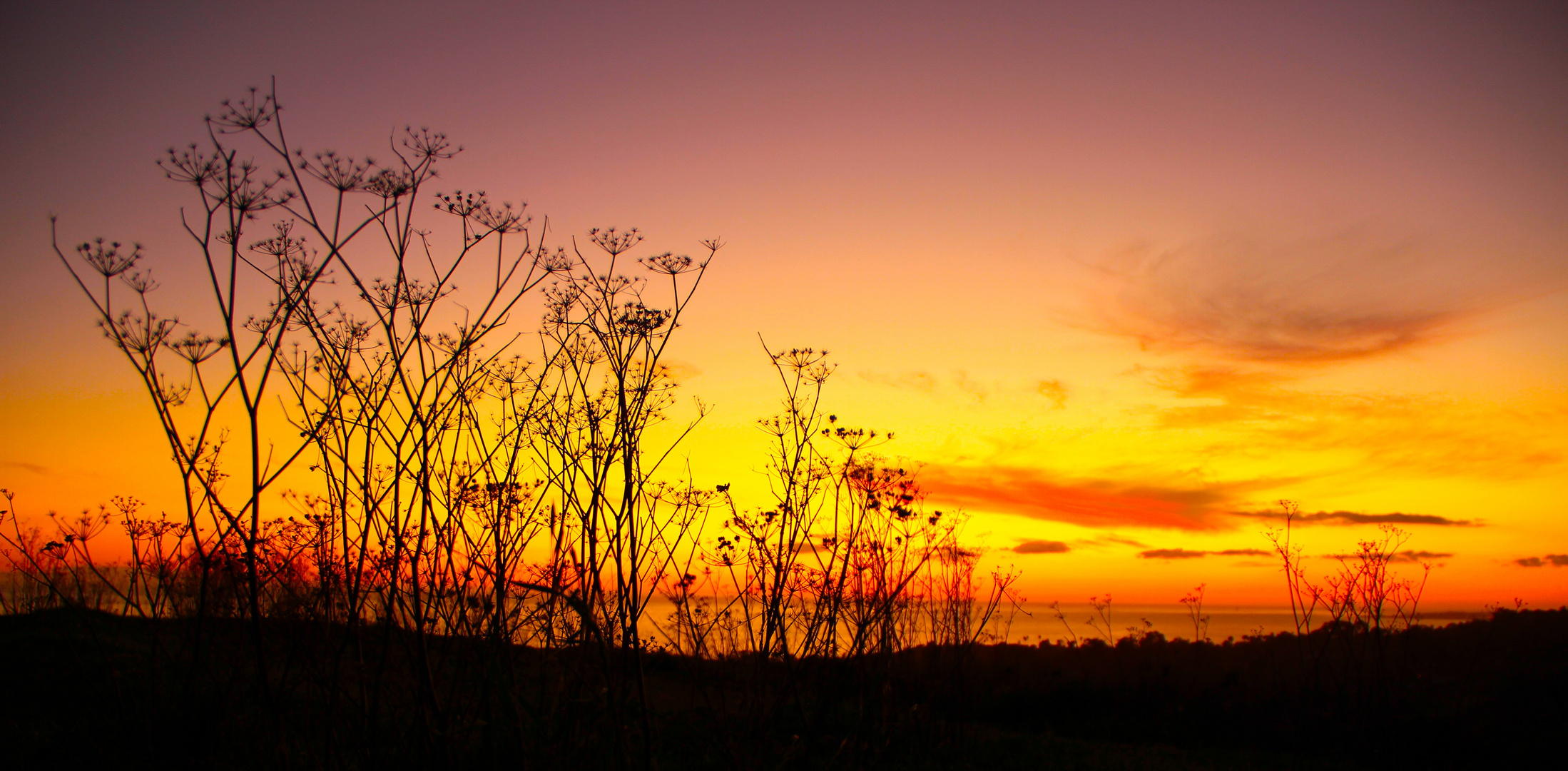 Oceanview Sunset