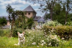 ... och Frauchen ...