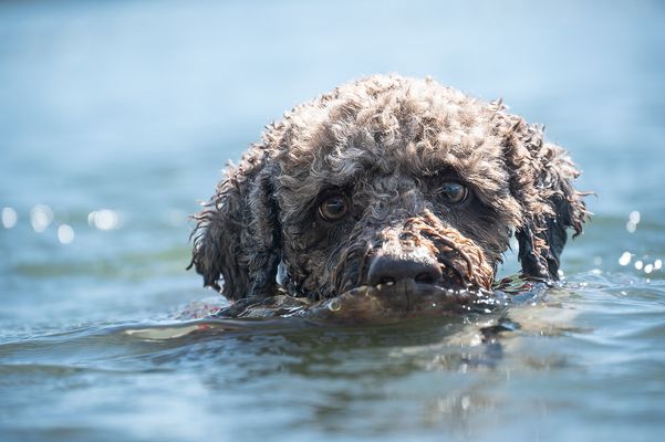 Och nee, noch net raus!!