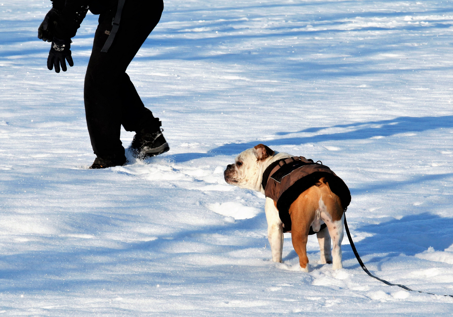 Och, neee, keine Schneeballschlacht