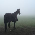 "och neeee....schon wieder diese suppe"